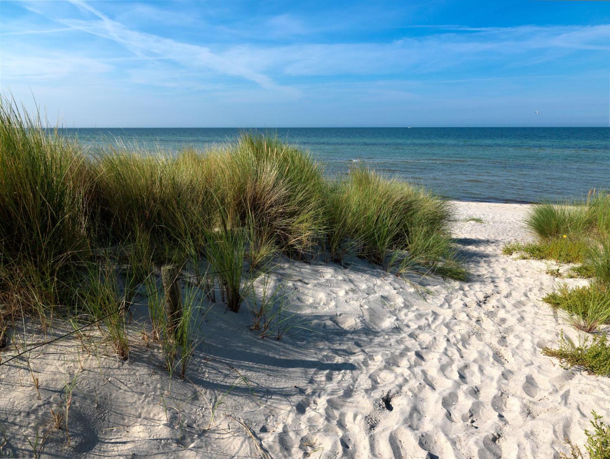 Haus Luv Villa Insel Poel Exteriör bild